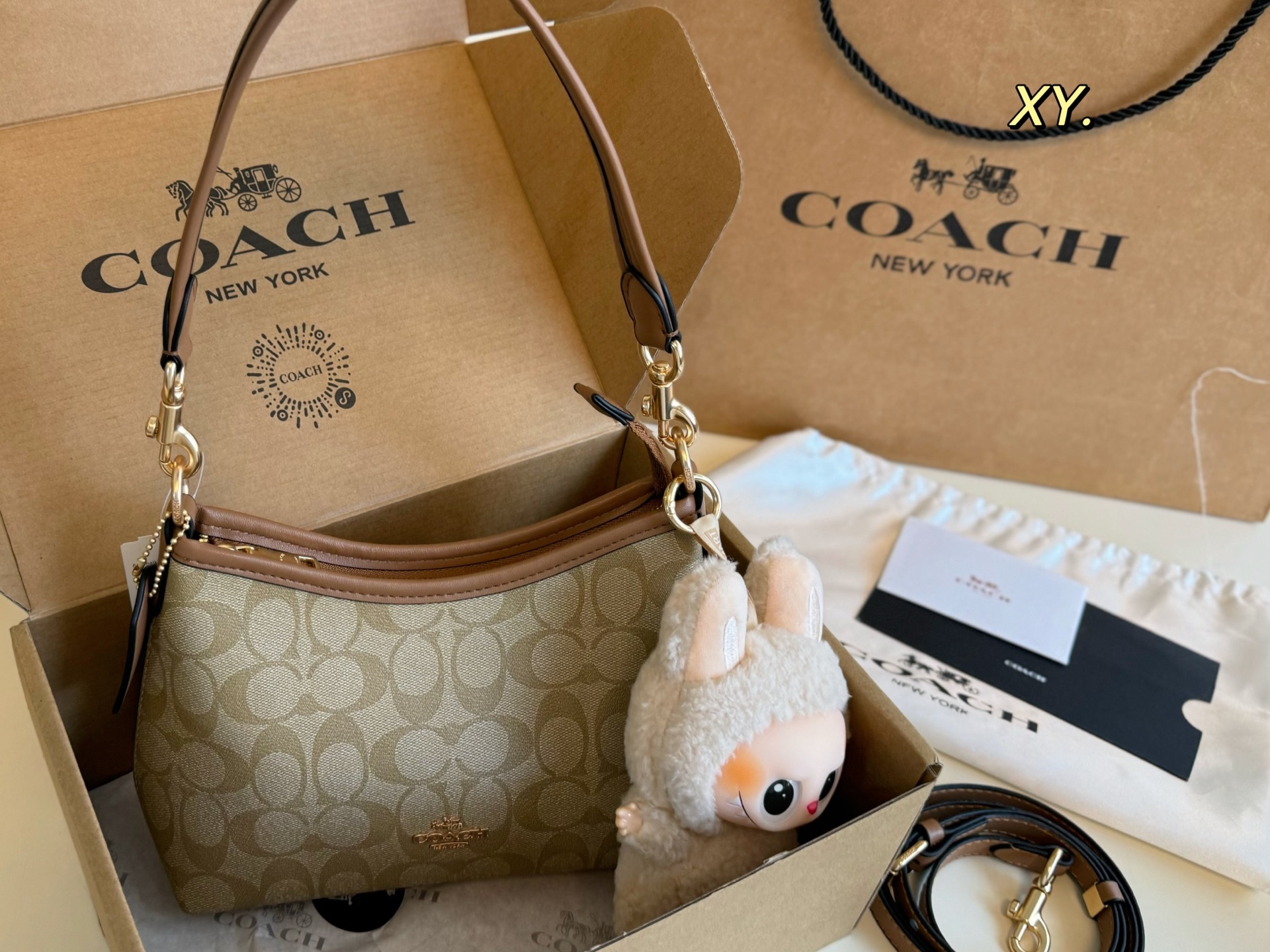 coach bag 194